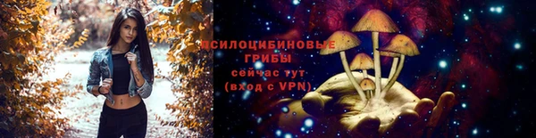 spice Карталы