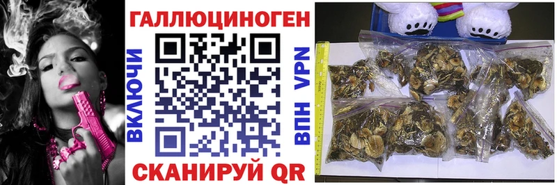 Купить закладки  Ахтубинск  Галлюциногенные грибы мухоморы 
